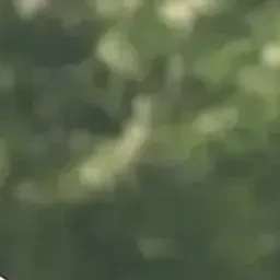 이지훈