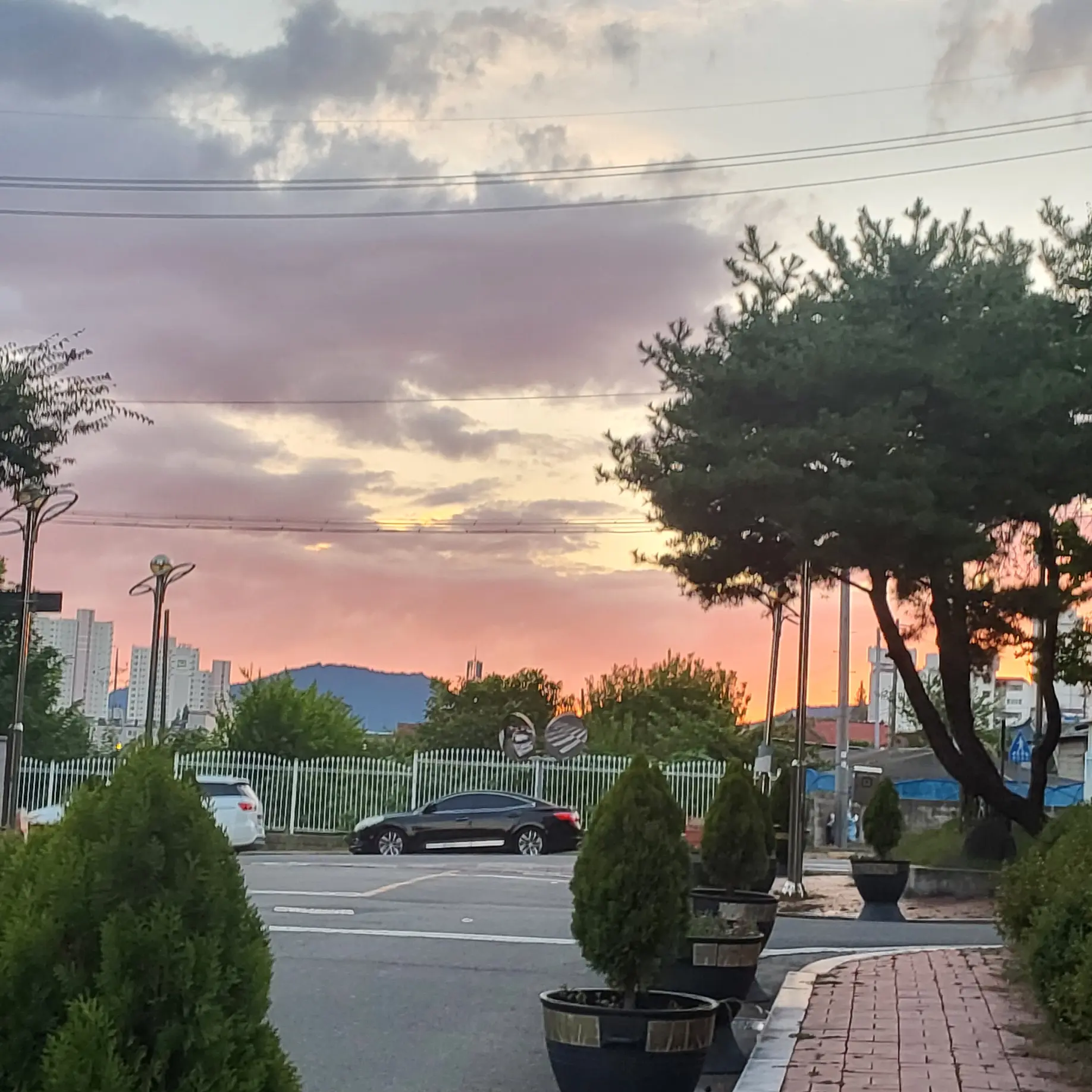 GrassyNiece6678의 여우 참교육