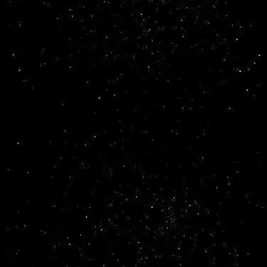 Profile image of 덕개