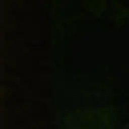 PointyBrick4530의 .