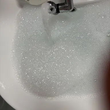 Profile image of 범생