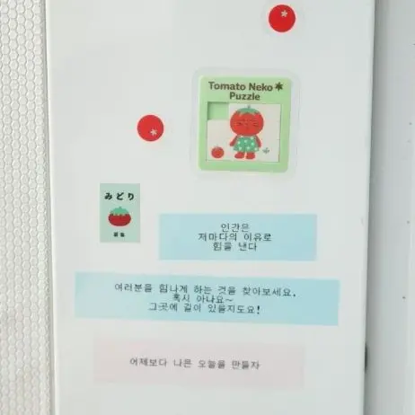 ssg._.landers의 막내 쓱튜브 pd의 생존기