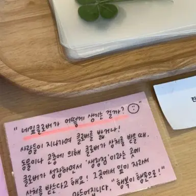 Profile image of 윤채인