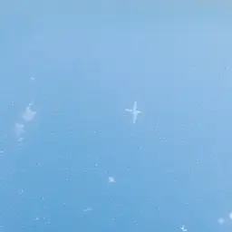 Profile image of 윤종