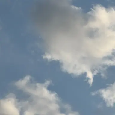 Profile image of 바다