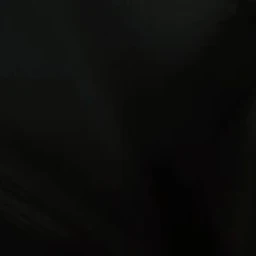 有志