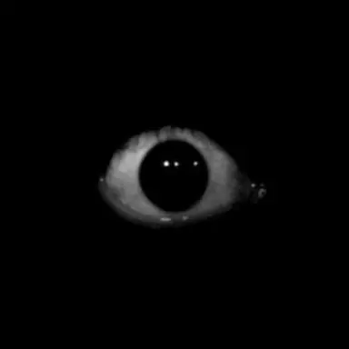 Profile image of AI