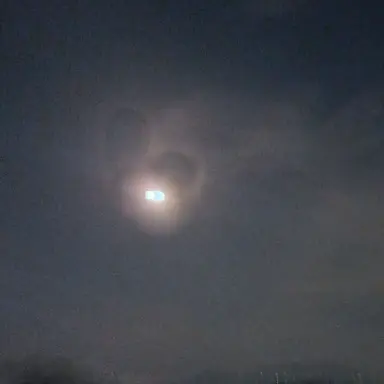 Profile image of 악질잼민이