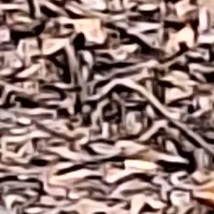 qpq_yhwhso의 파벌조