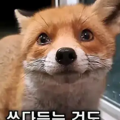 Profile image of 여우