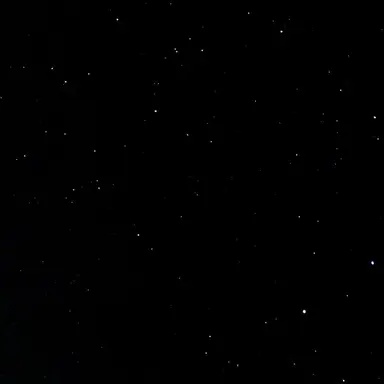 Profile image of 目黒蓮