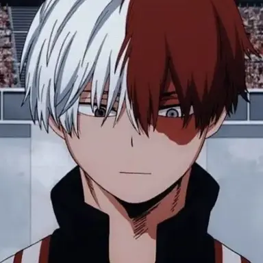 Profile image of Shoto todoroki