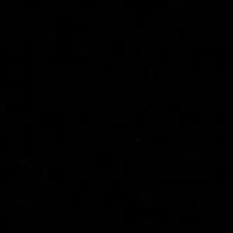 BottomCITY의 황인준