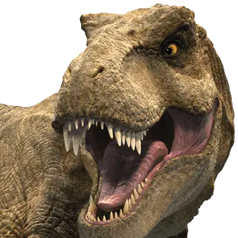 Profile image of Rexy