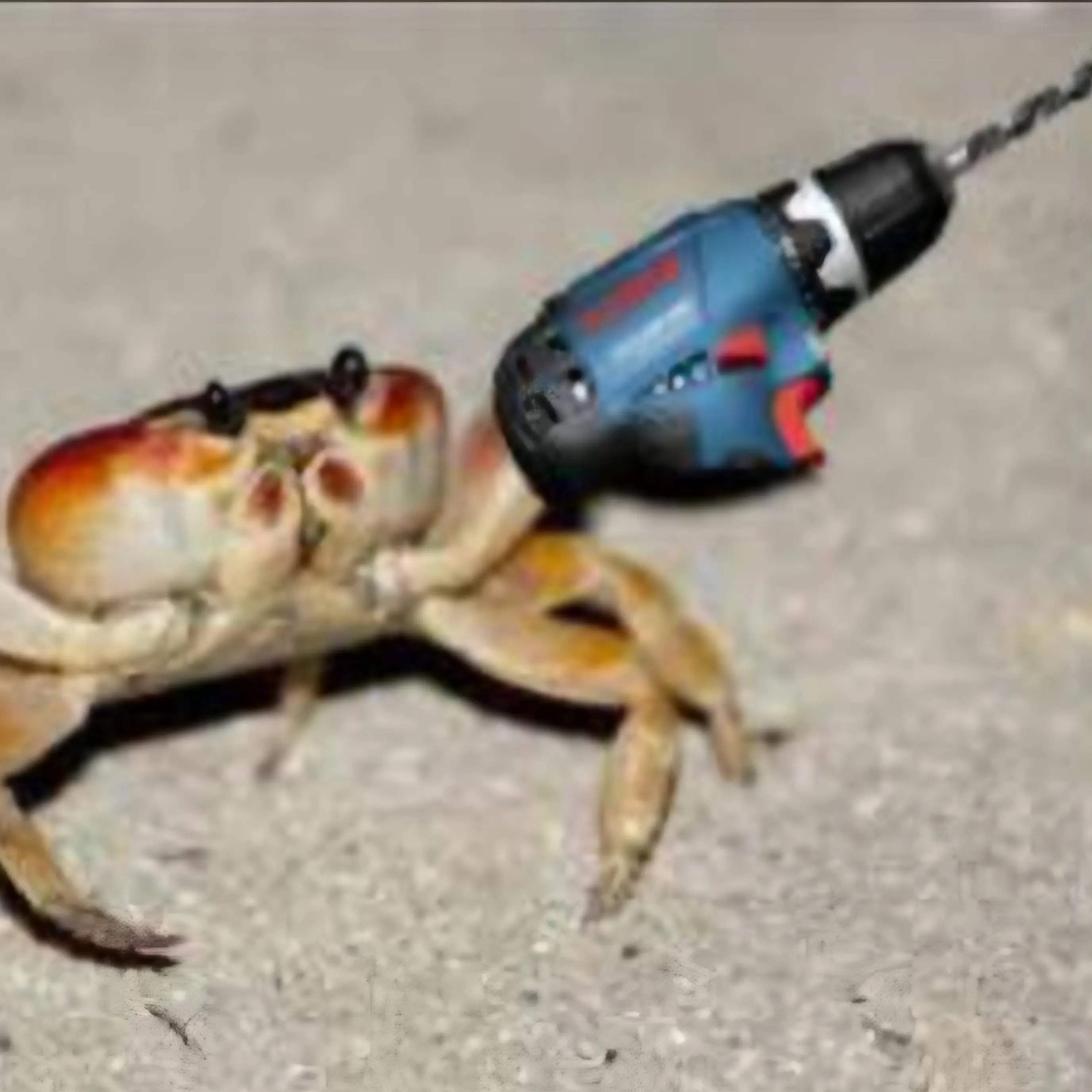 NosyFrug3015의 🦀