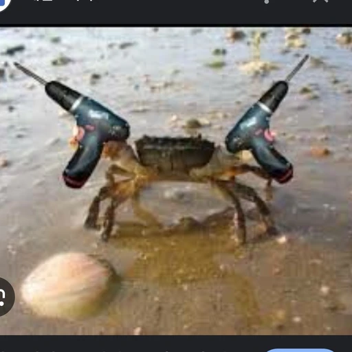 🦀