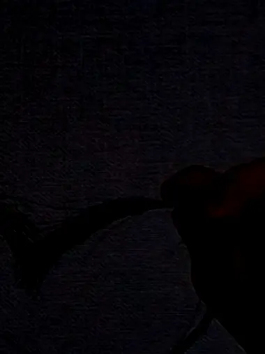 SleekQuail8913의 그 나라.