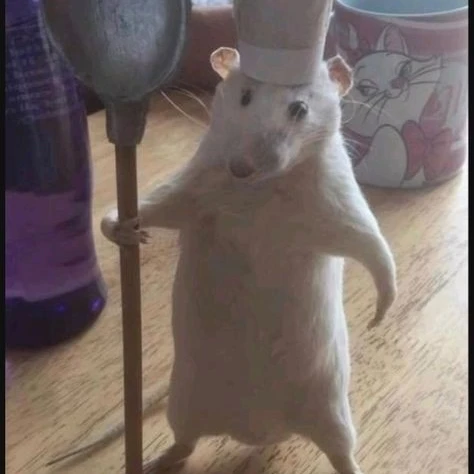빠뚜라빠뚜빠야