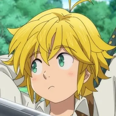 Profile image of メリオダス