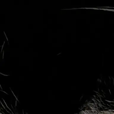 Profile image of 人外さん