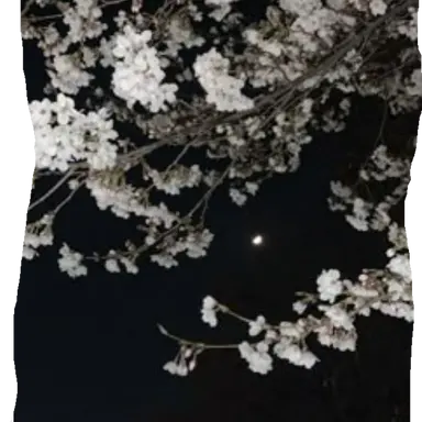 Profile image of 무채색즈