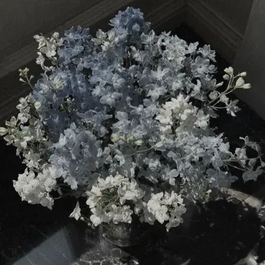 Profile image of 잭