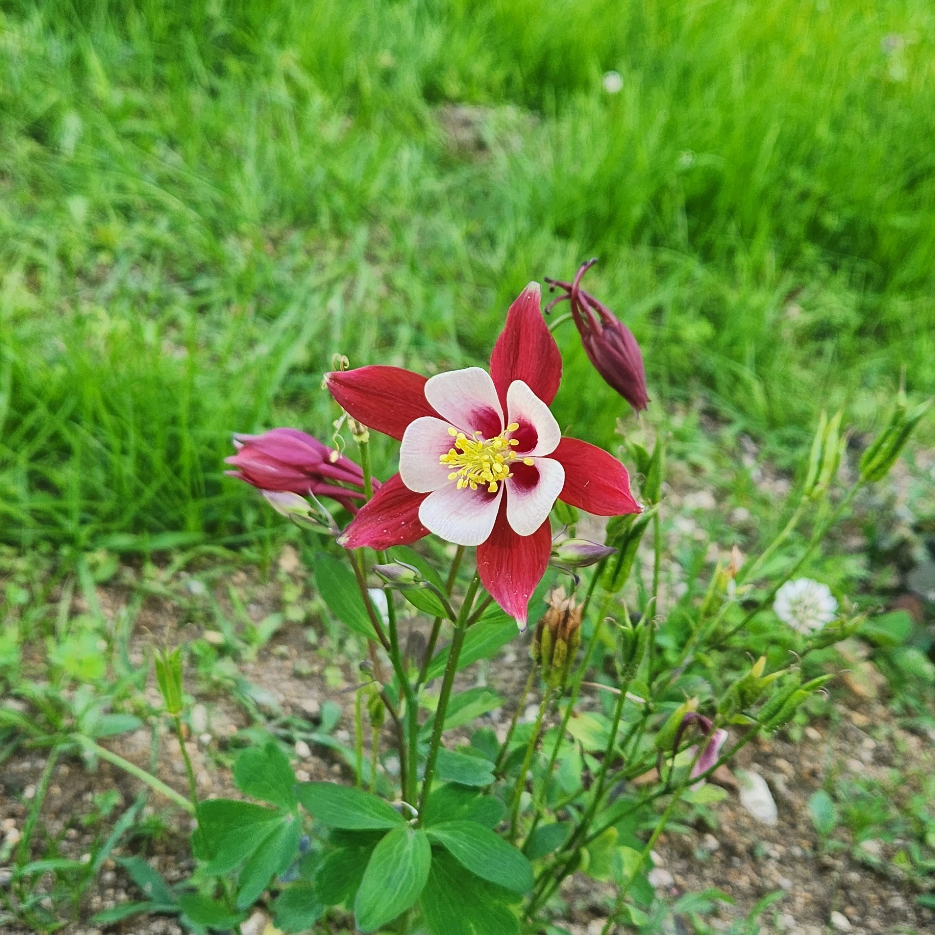 타노스