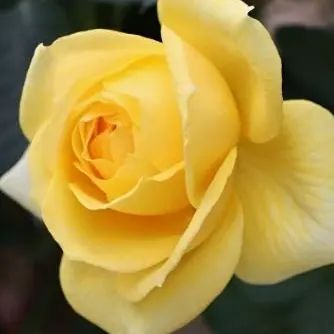 Profile image of 박지민