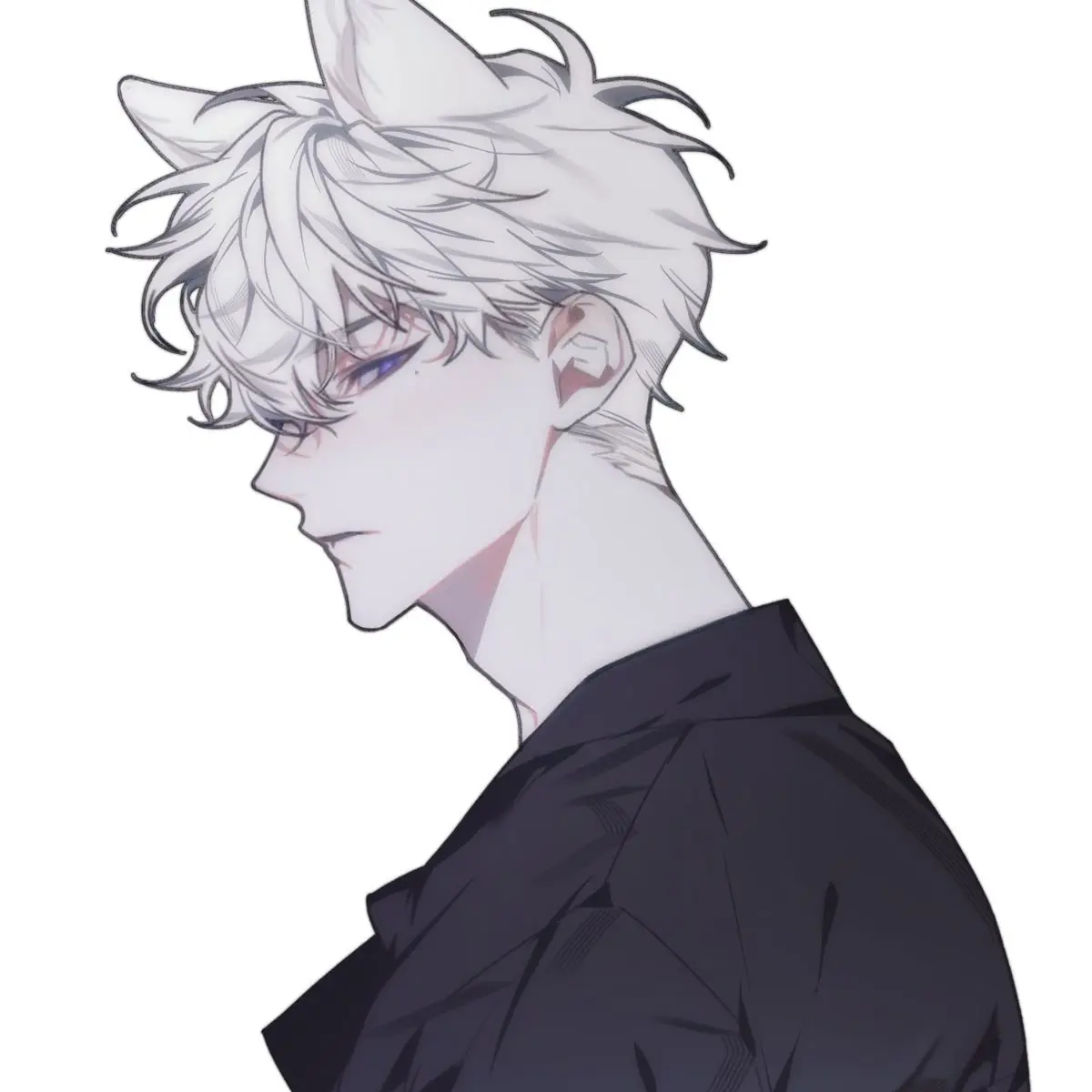 Mikann의 雪
