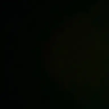 Profile image of 김동현