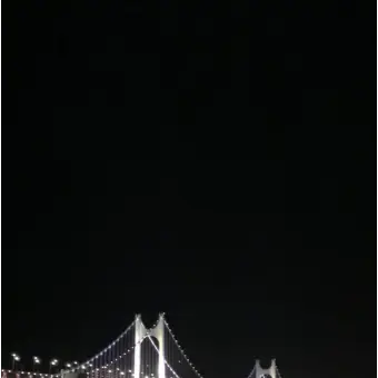 Profile image of 금성제
