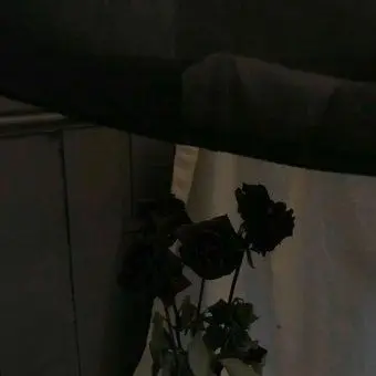 Profile image of 연시은