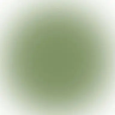 Profile image of 유하민