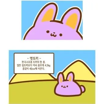 Profile image of 수현