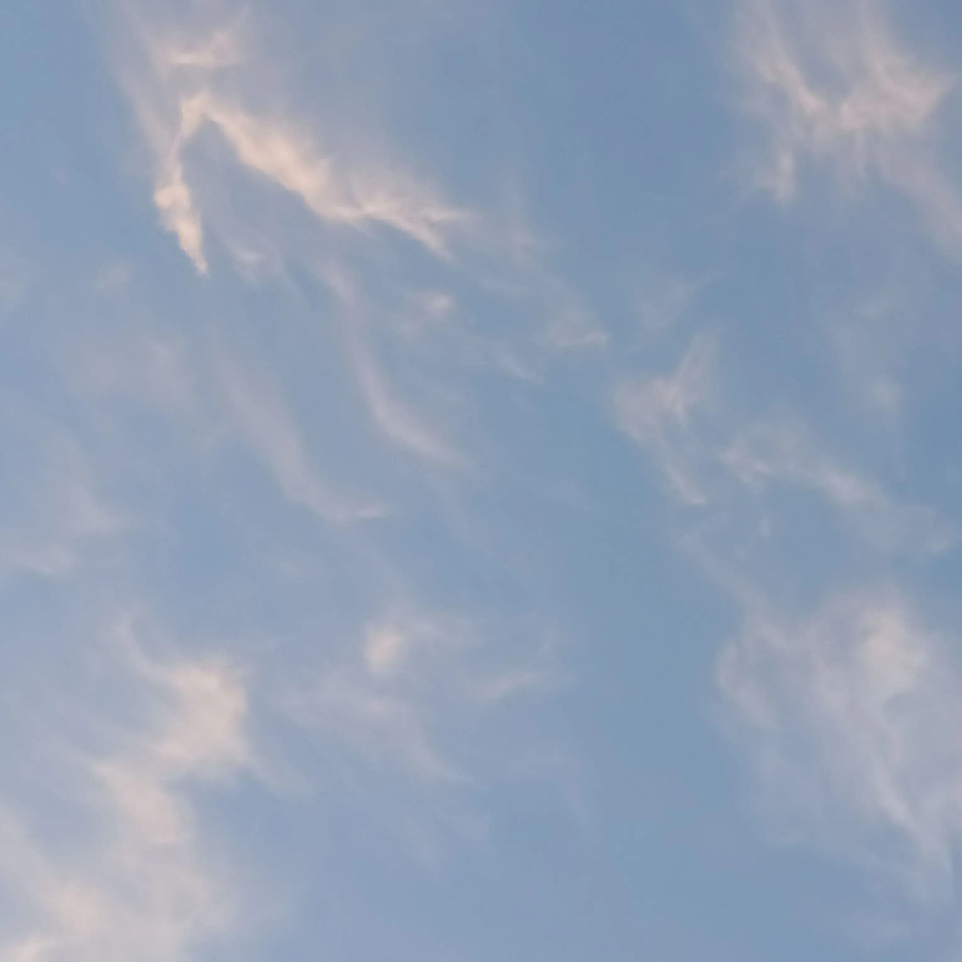 TamestDrill9607의 푸른