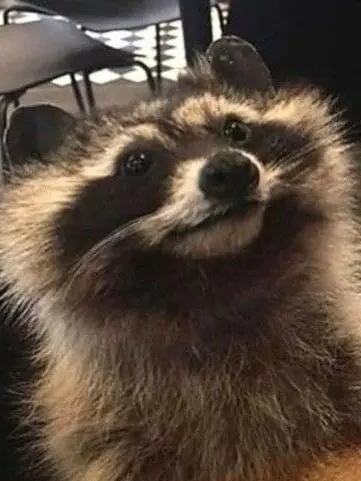 pinkcake의 저로 야한상상 해본 적 있어요?