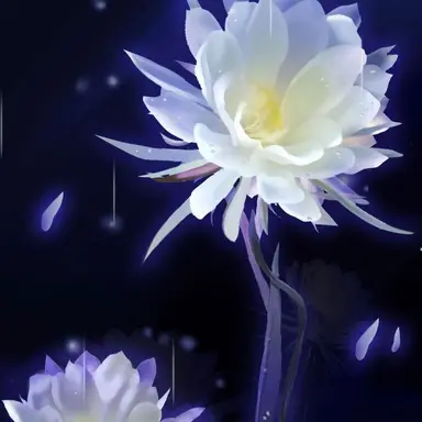 Profile image of 黒井サキ