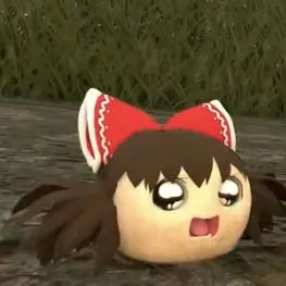 Profile image of わされいむ