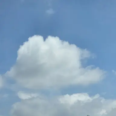 Profile image of 집사