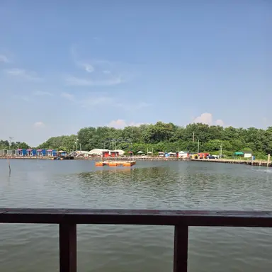 Profile image of 또이