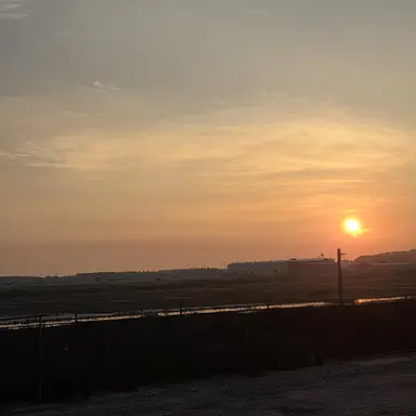 Profile image of 료미