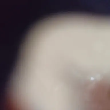Profile image of The Deceased