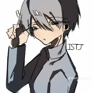 Profile image of ISTJ