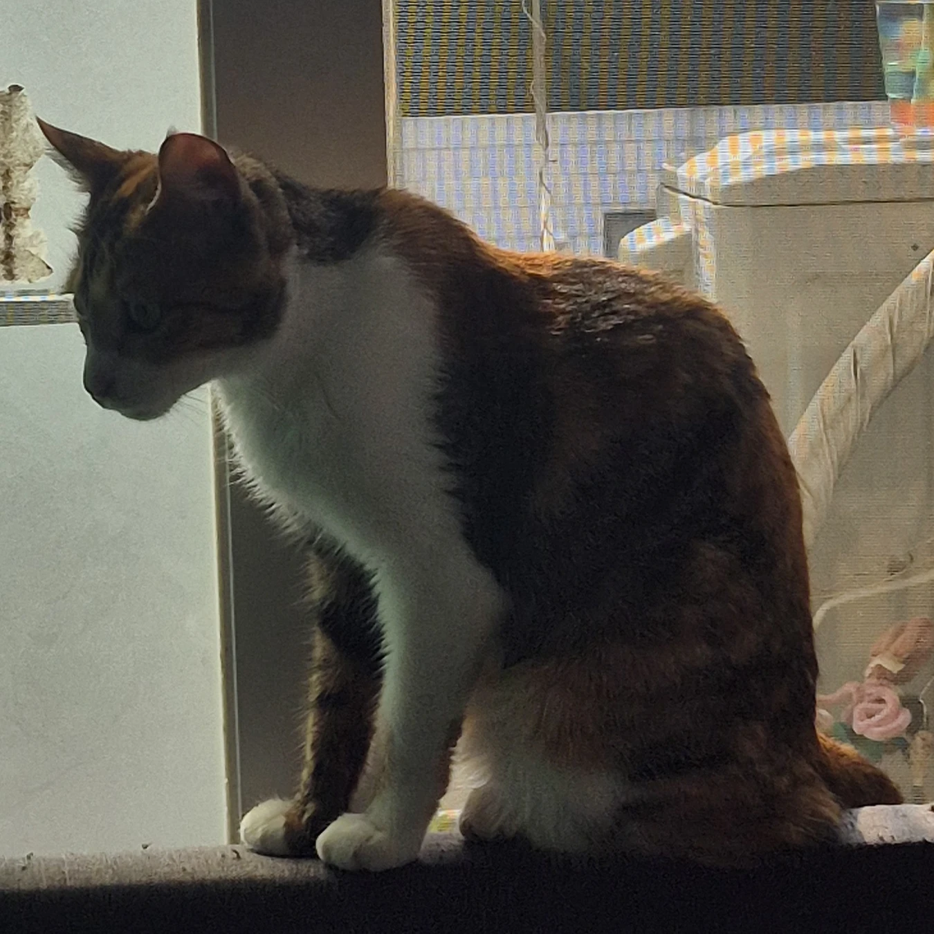 최승철
