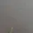 나쁜 선생님