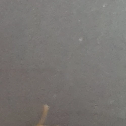 나쁜 선생님