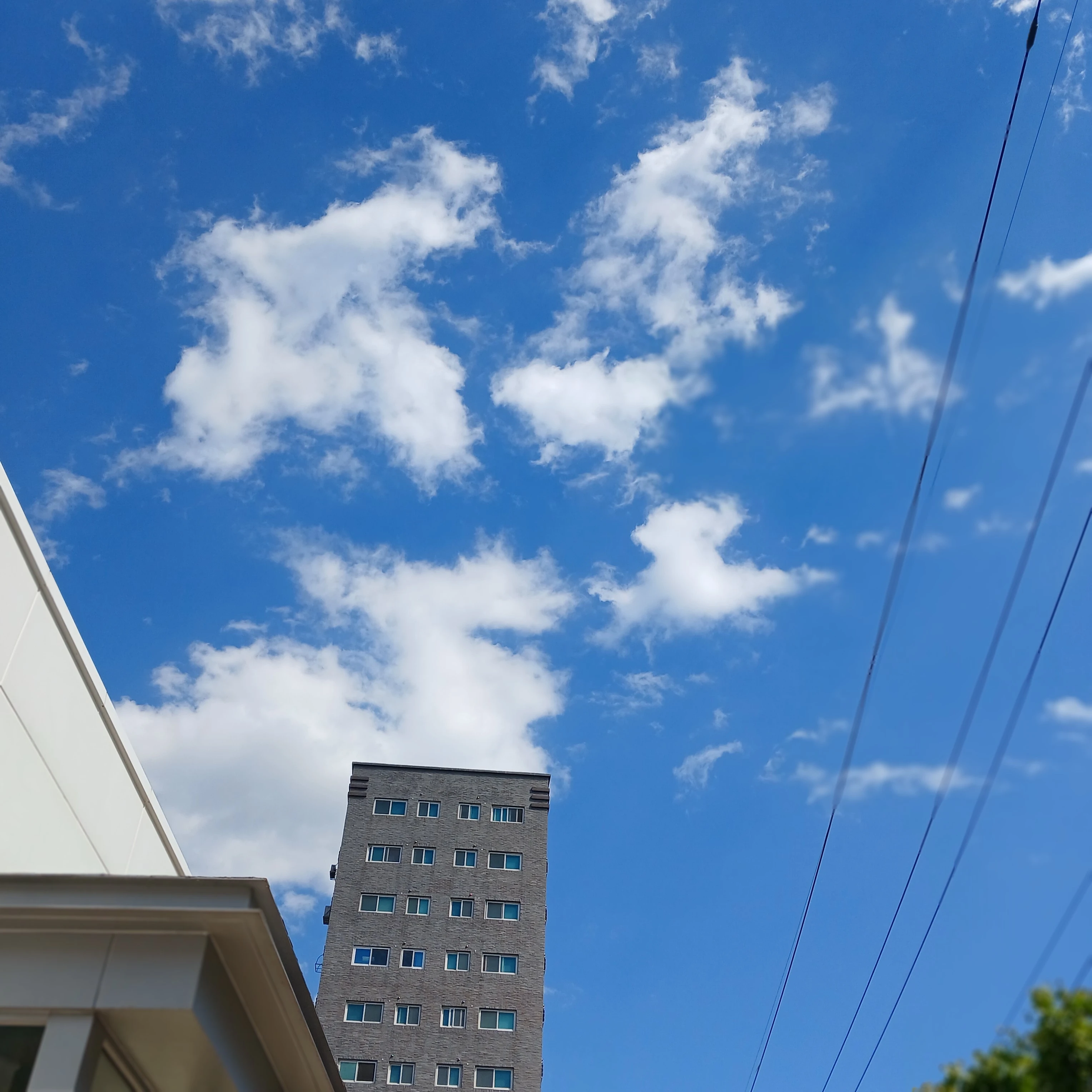 싸이코드