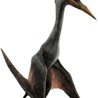 Profile image of 케찰코아틀루스