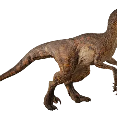 Profile image of 랩터