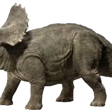 Profile image of 트리케라톱스